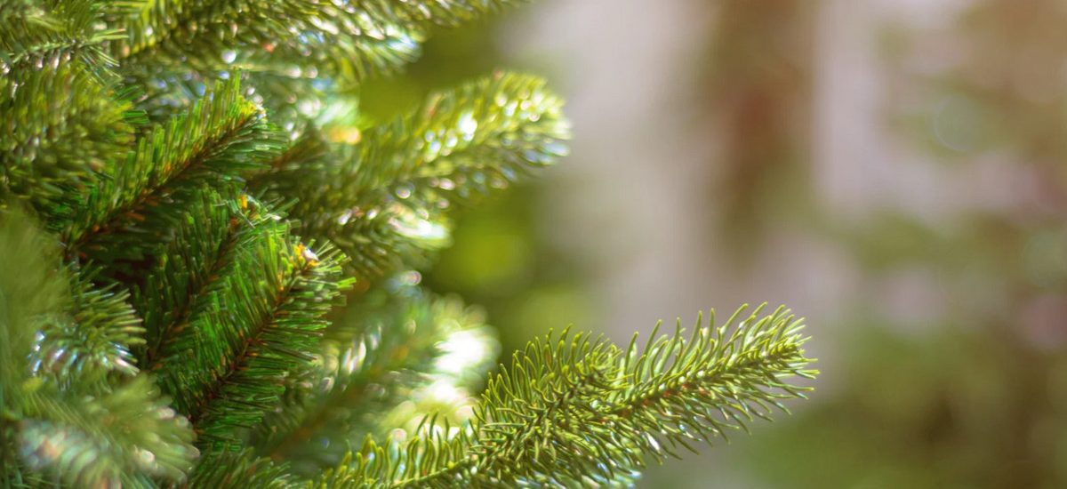 Sztuczne choinki na pniu – elegancka alternatywa dla klasycznego drzewka